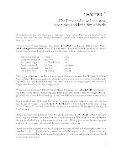 Classical Latin: An Introductory Course