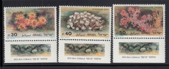 ISRAEL Red Sea Corals MNH tab set