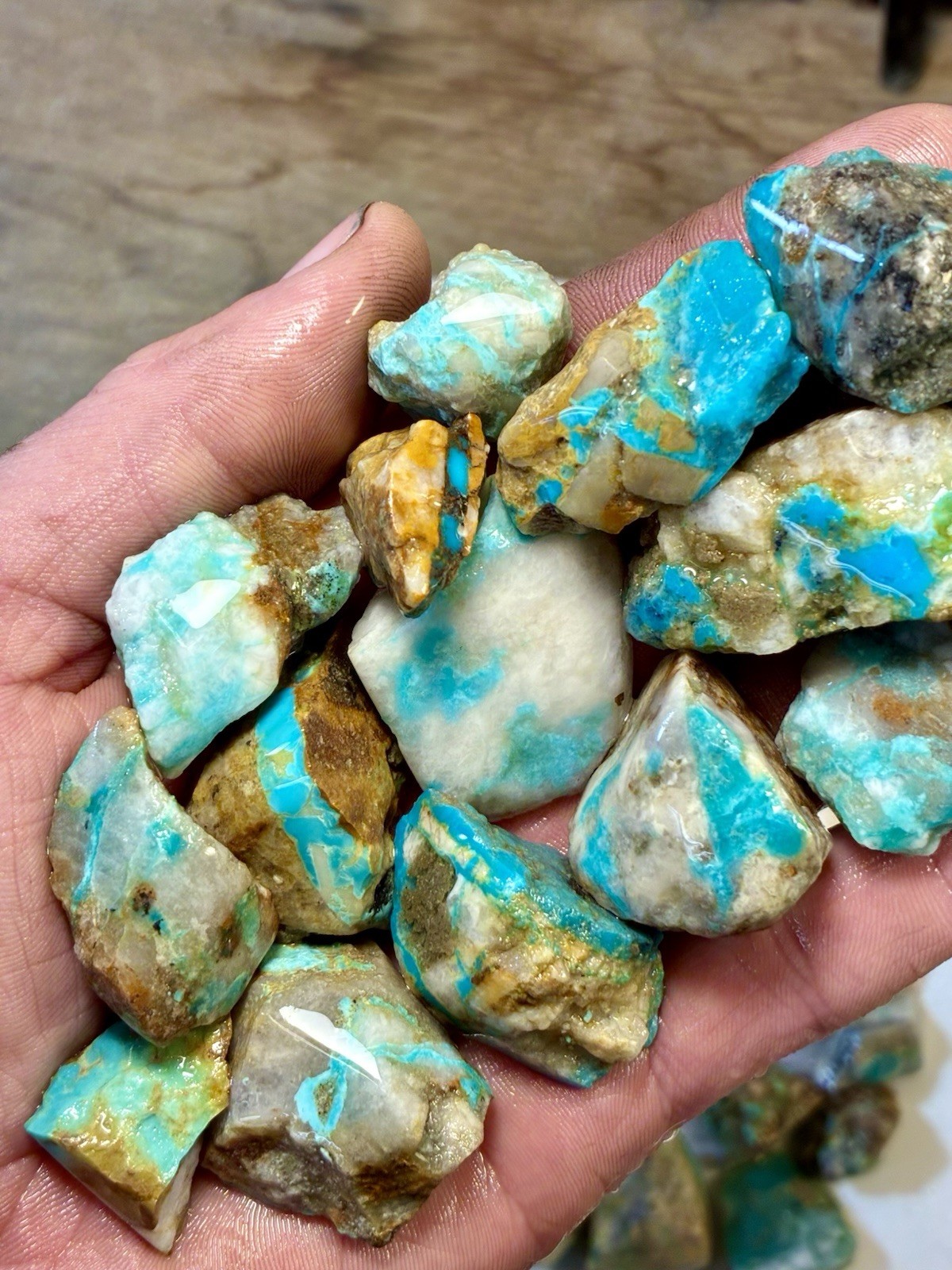 1 Lb of Skinny Turquoise Mountain Nugs! Now Available Again! ￼