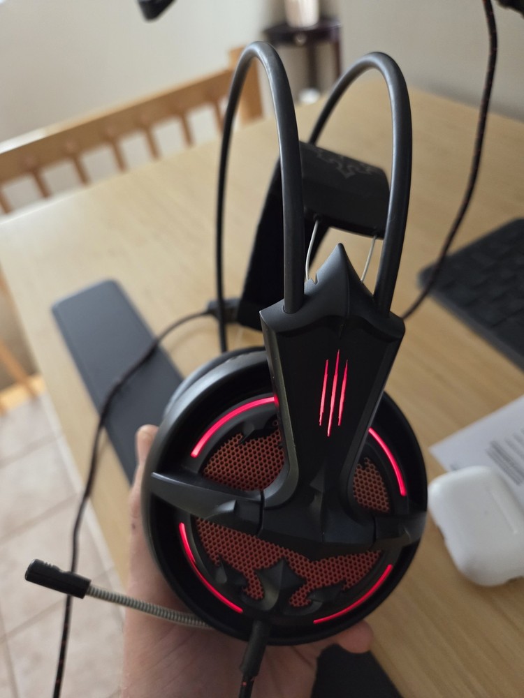 Diablo Steelseries Headset