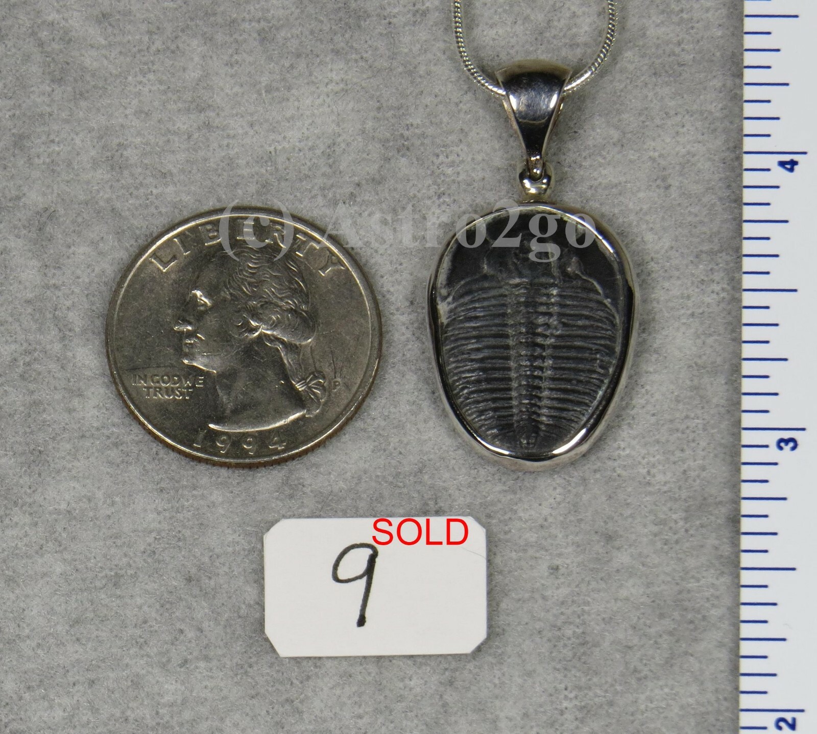 Elrathia Kingii TRILOBITE PENDANT $55 Sterling Silver Jewelry STARBORN CREATIONS