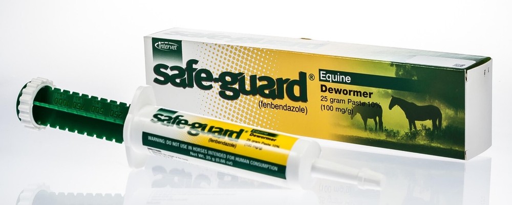 Safe-Guard Equine Paste 10%, 6 x 25 g
