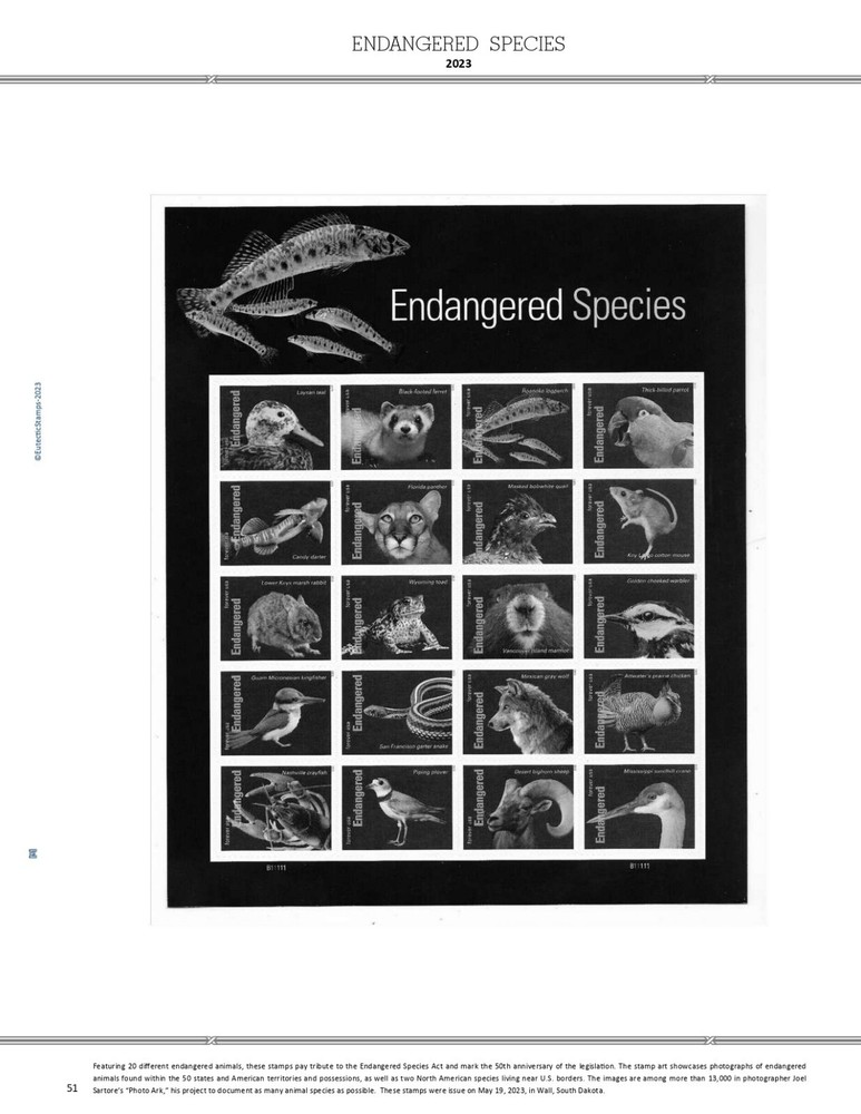 2023 U.S. Commemorative Singles SIMPLIFIED Supplement (White Ace Alternative)