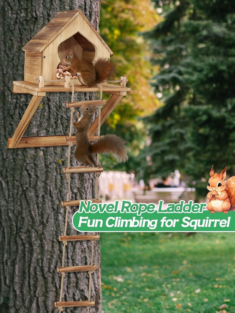 Funny Squirrel Feeder, Ladder, Wall, Tree Mount, Backyard Garden Decoration