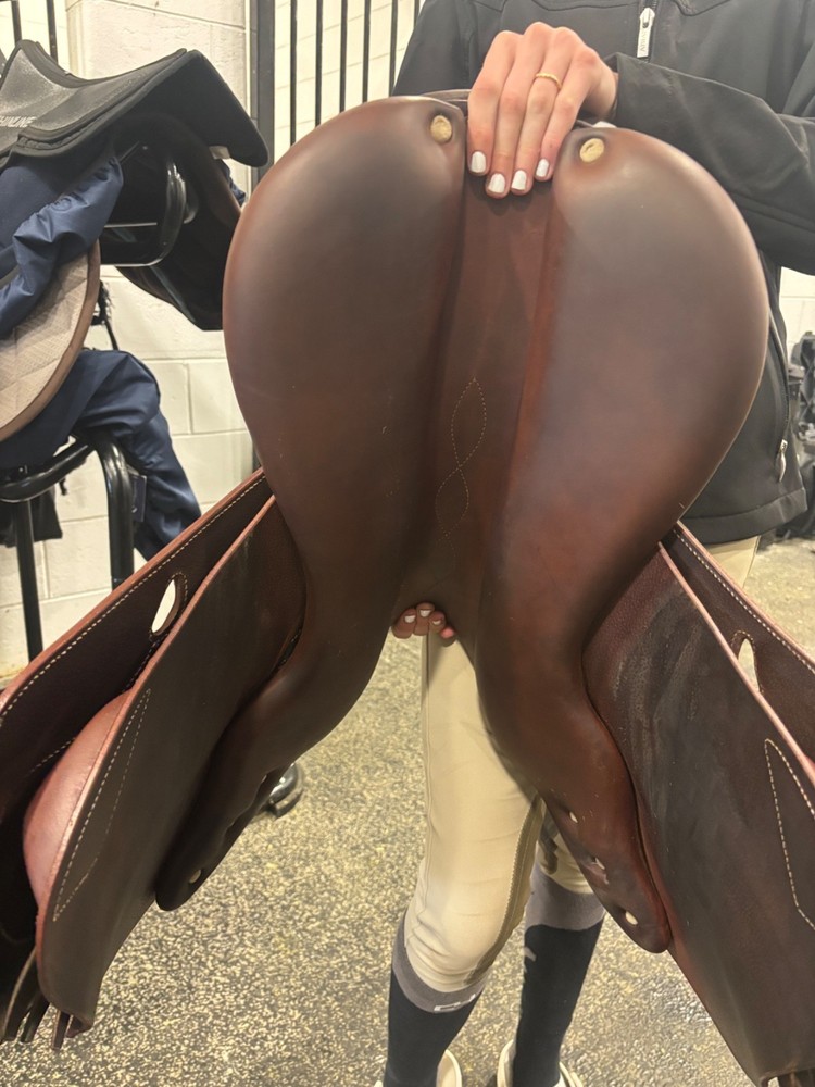jumping saddle