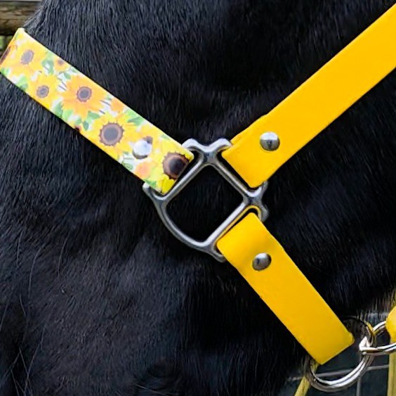 Biothane Horse Halter - Sunflowers