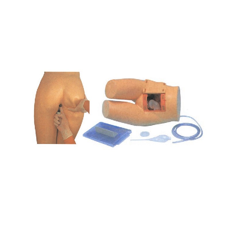 KAS/13 Enema and Assisted Defecation Training Model Display