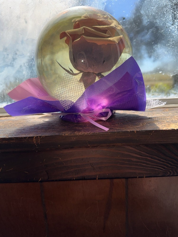 Rose In A Globe