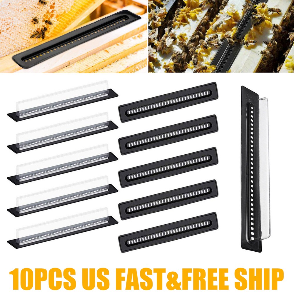 10Pcs Black Small Bee Hive Beetle Blaster Beehive Beetle Traps Beekeeping Tool