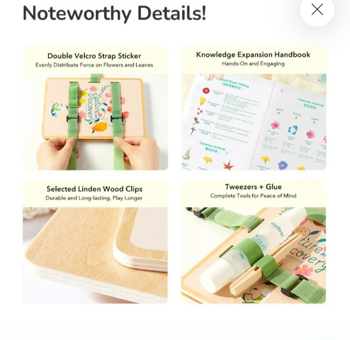 Mideer Nature Art discovery collection