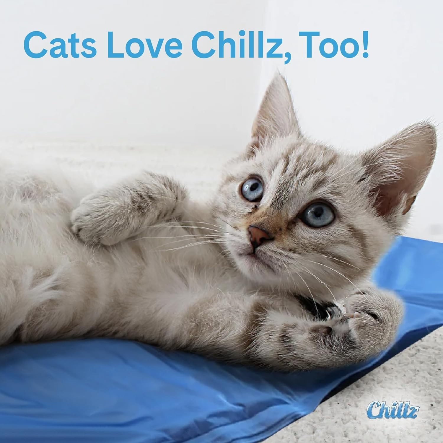 The Green Pet Shop Chillz Gel Mat, Medium - Pressure-Activated Cooling Pad