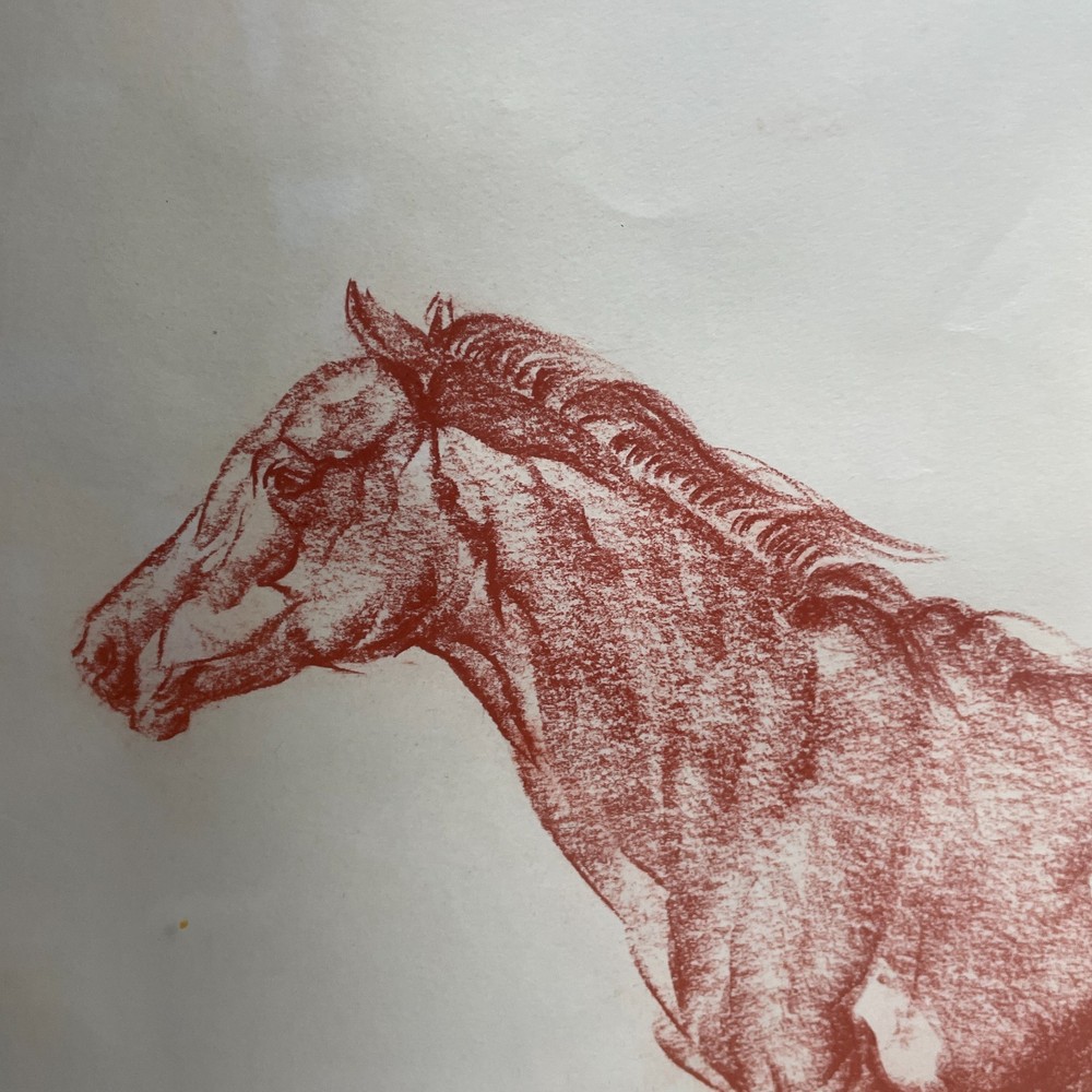 Framed Print "Equestrian" Signed By Norman Hoad Red Chalk, Size 68 x 56 cms