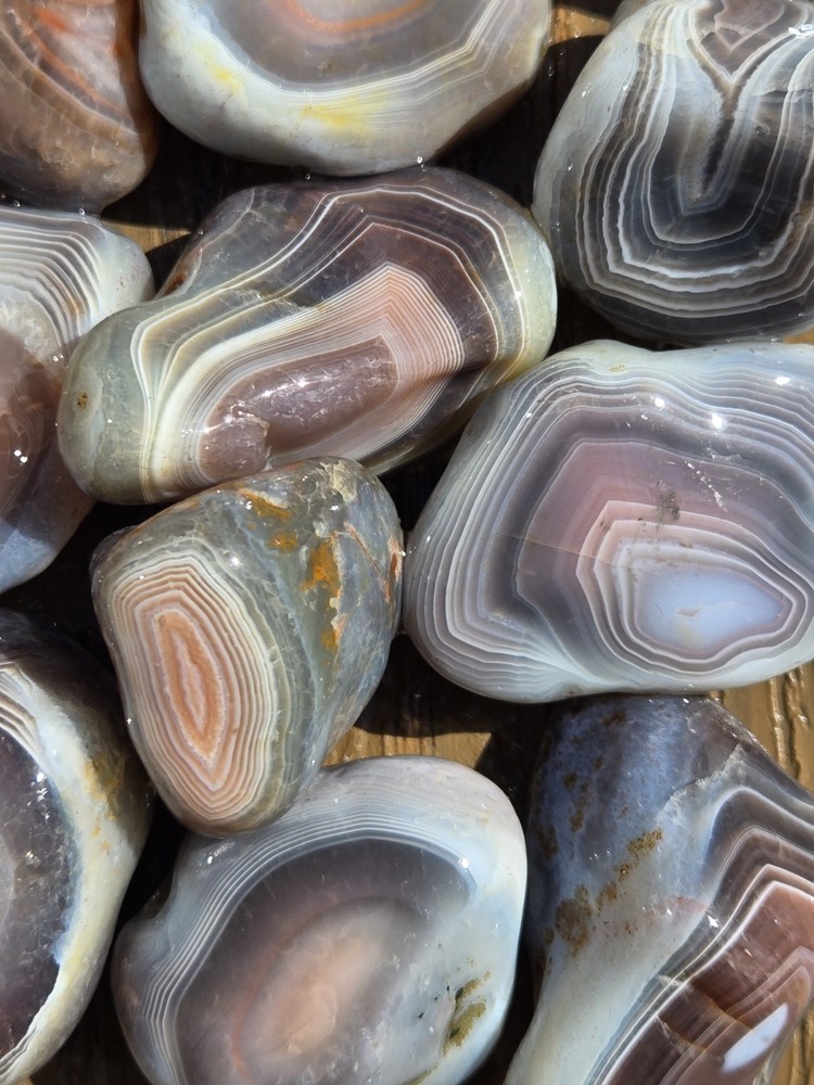 Botswana Agate Selects - SUPERNOVA - Rough, Natural, Not Polished A+ Grade