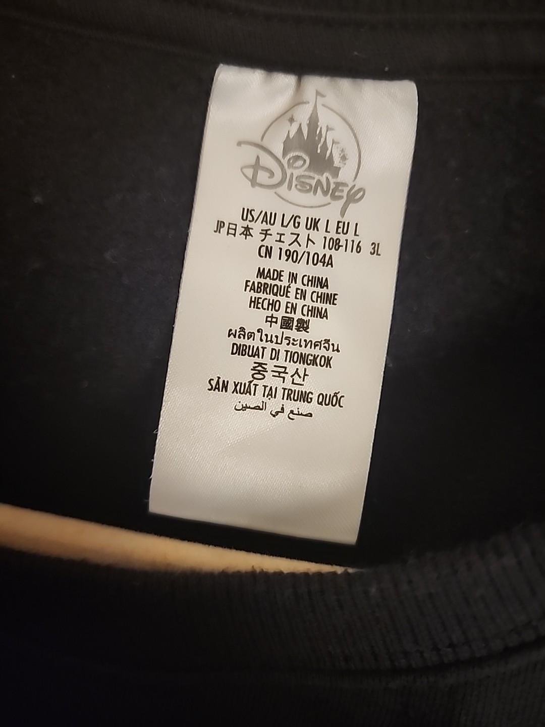 Disney Haunted Mansion 2023 Sweatshirt Adult sz Large ColorBlock Long Sleeve R1