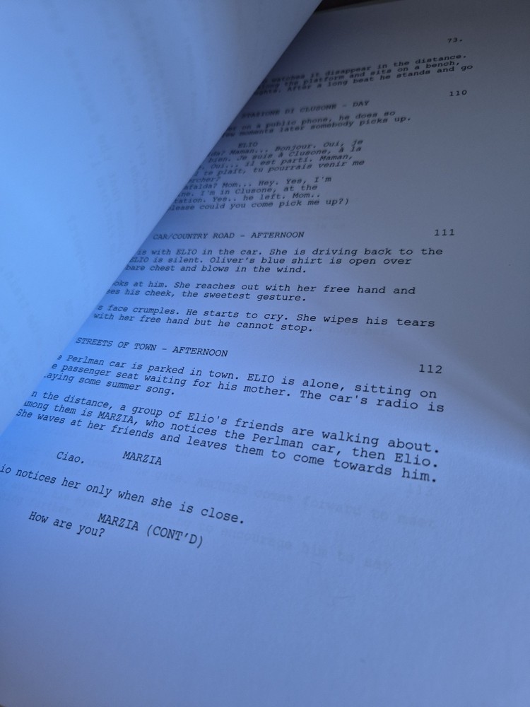 Call Me By Your Name Script Screenplay