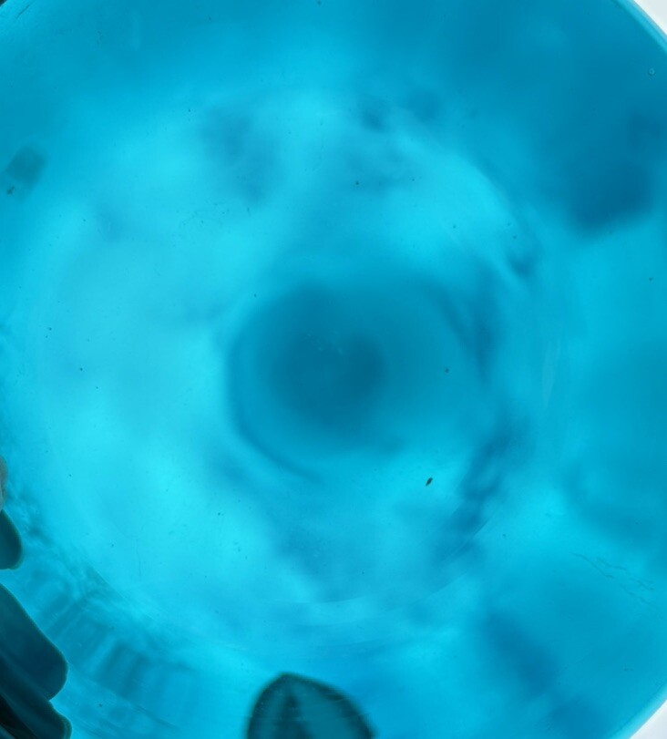 Gorham SilverPlate Bowl with Turquoise Teal Aqua Blue Hard Plastic Insert