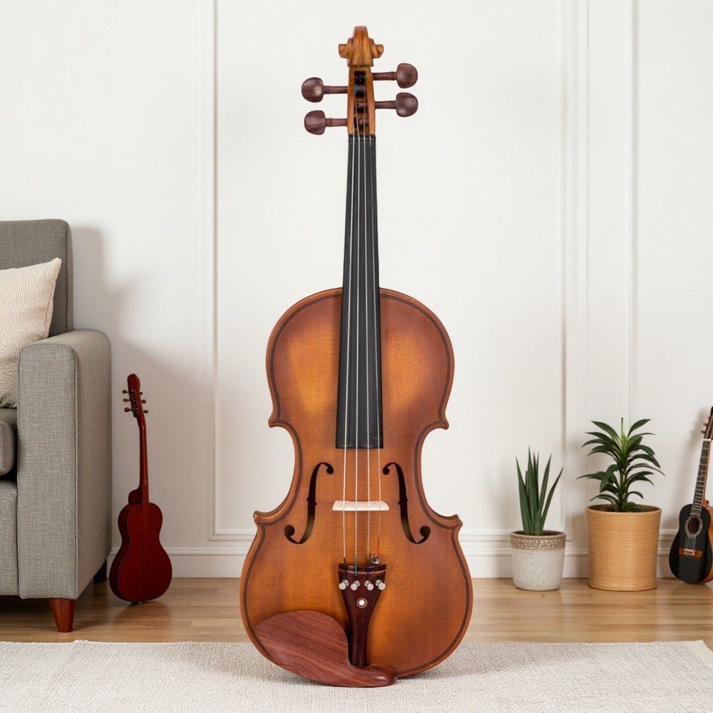 4/4 Solid Spruce Top Acoustic Beginner Violin Set - Shoulder Rest, Tuner, Matte