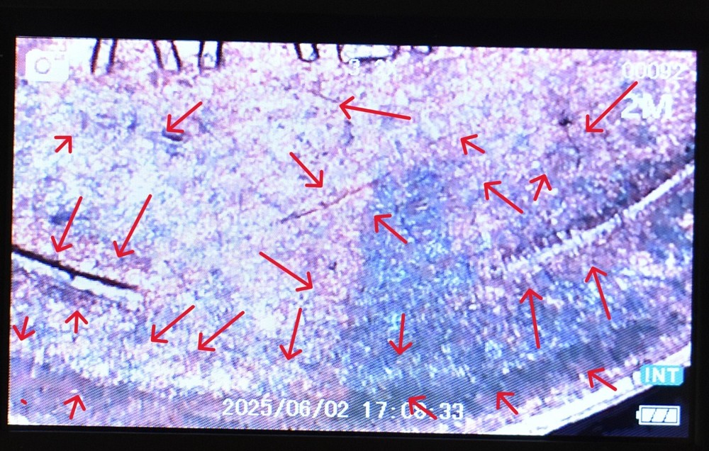 1949 D Penny Error Red Mint State Multi Error Double Die, Cracks Collar Filled D