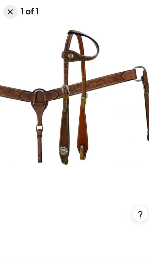 Beautiful tack set
