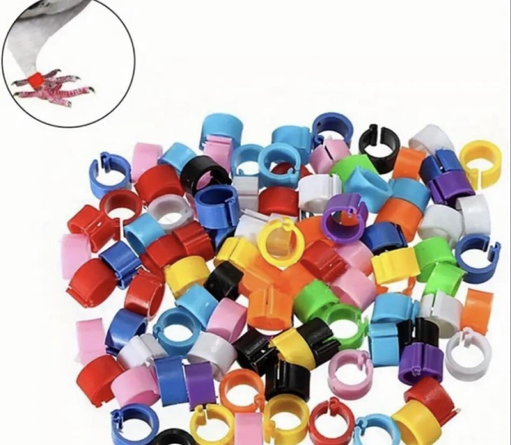 Leg Ring Plastic Identification Marking For Pigeons Chicken