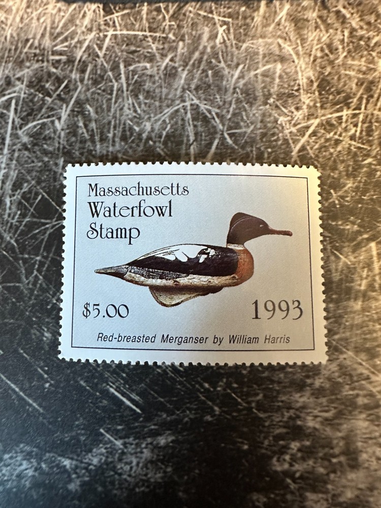 1993 Massachusetts State Duck Stamp,