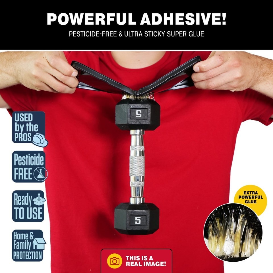 Catchmaster Heavy Duty Solid Glue Traps 2 Traps for Rats, Mice & Insects