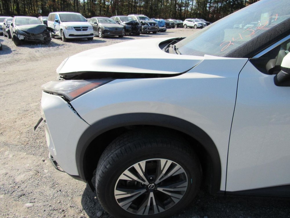 ROGUE 2021 Glove Box 1001828