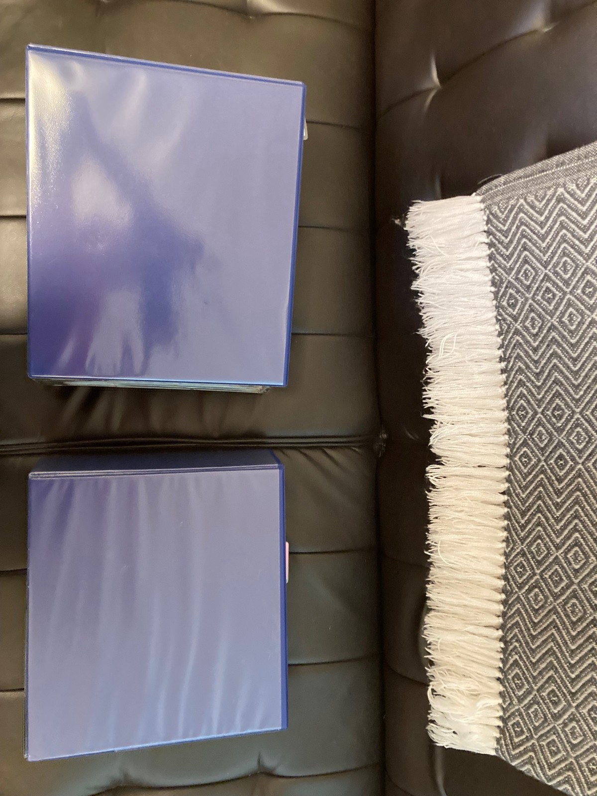 BEAUTIFUL LOT OF STAMP SHEETS IN 2 BINDERS, MOSTLY SHEETS W/ SOME BLOCKS , PAIRS