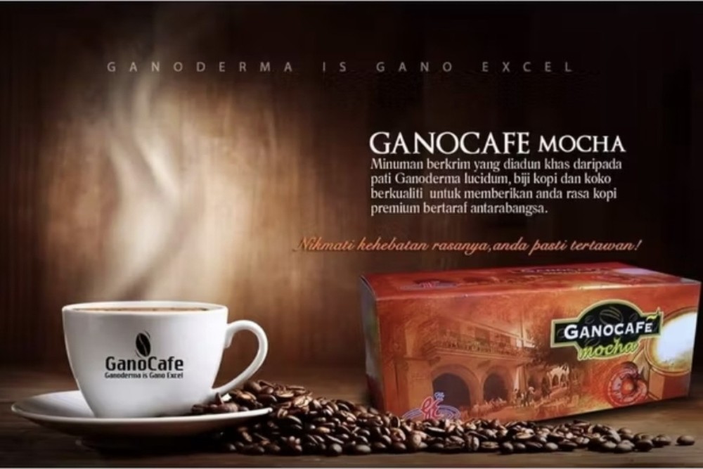 6 BOX Gano Cafe Mocha Gano Excel Ganoderma Halal 90 SACHETS