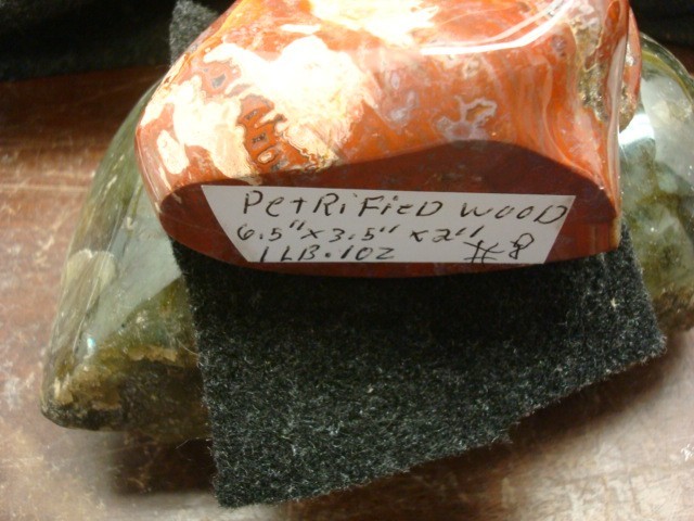 petrified wood madagascar polished