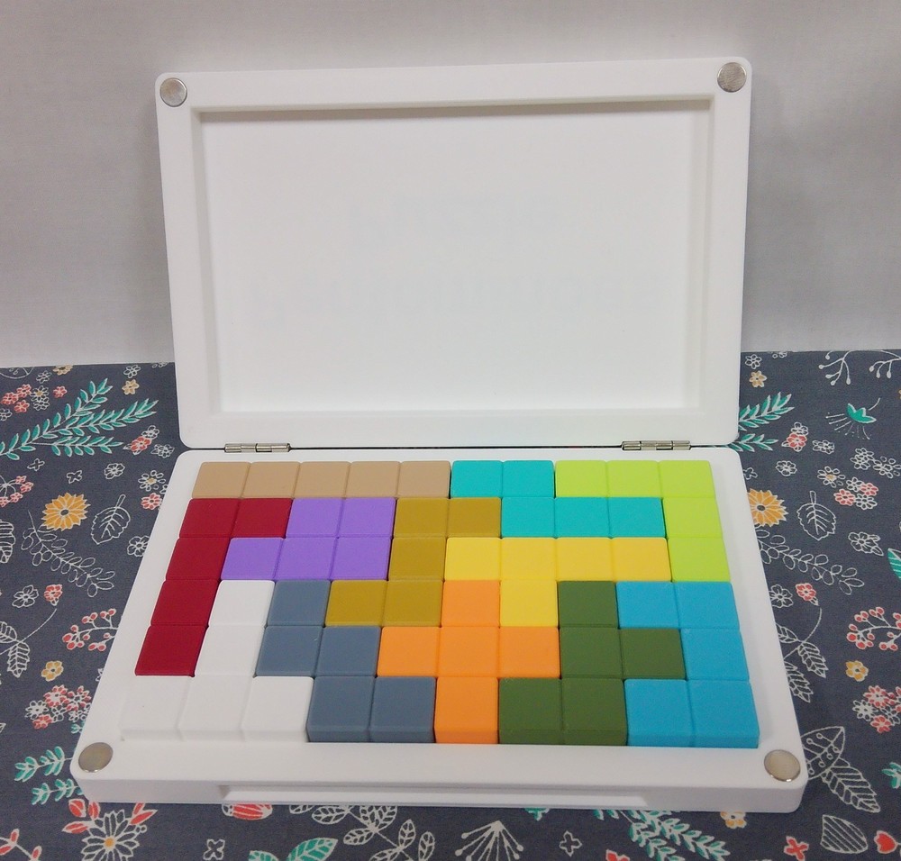 3-D Printed Pentominoes Puzzle