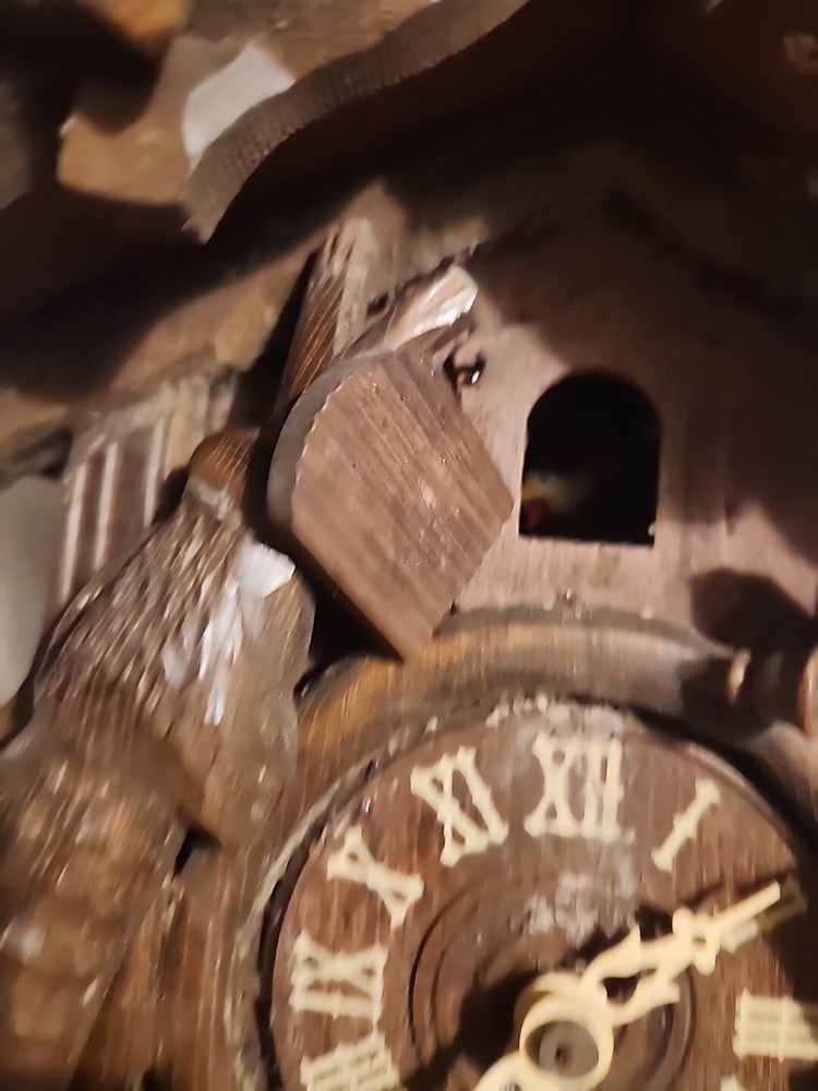 Huge Hunter Cuckoo Clock Carved Black Forest Cuckoo.