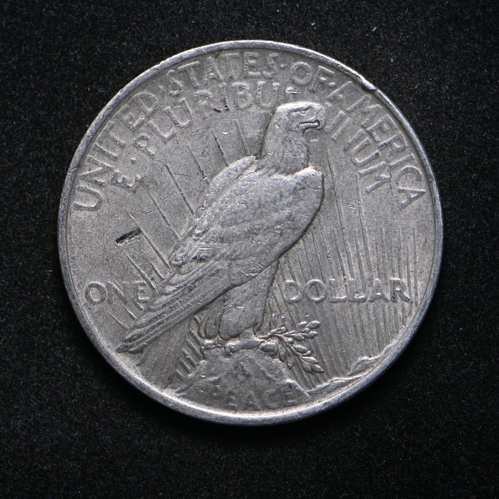 1923 Peace Silver Dollar Mint Error Struck through on Rev (cn16285)