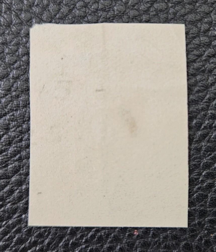 L/S CSA 4 Mint Davis