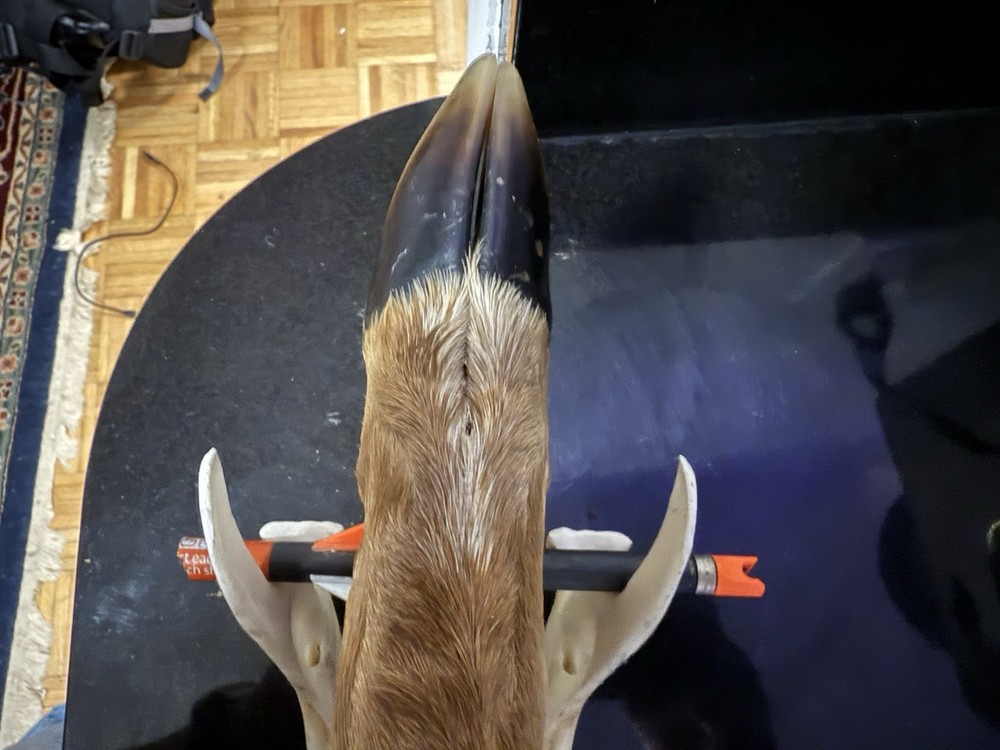 Deer Feet Knife With Stand