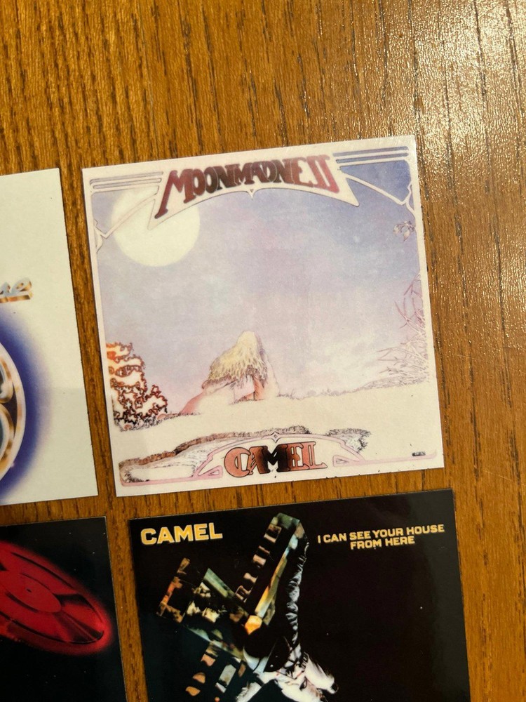 Camel fridge magnets