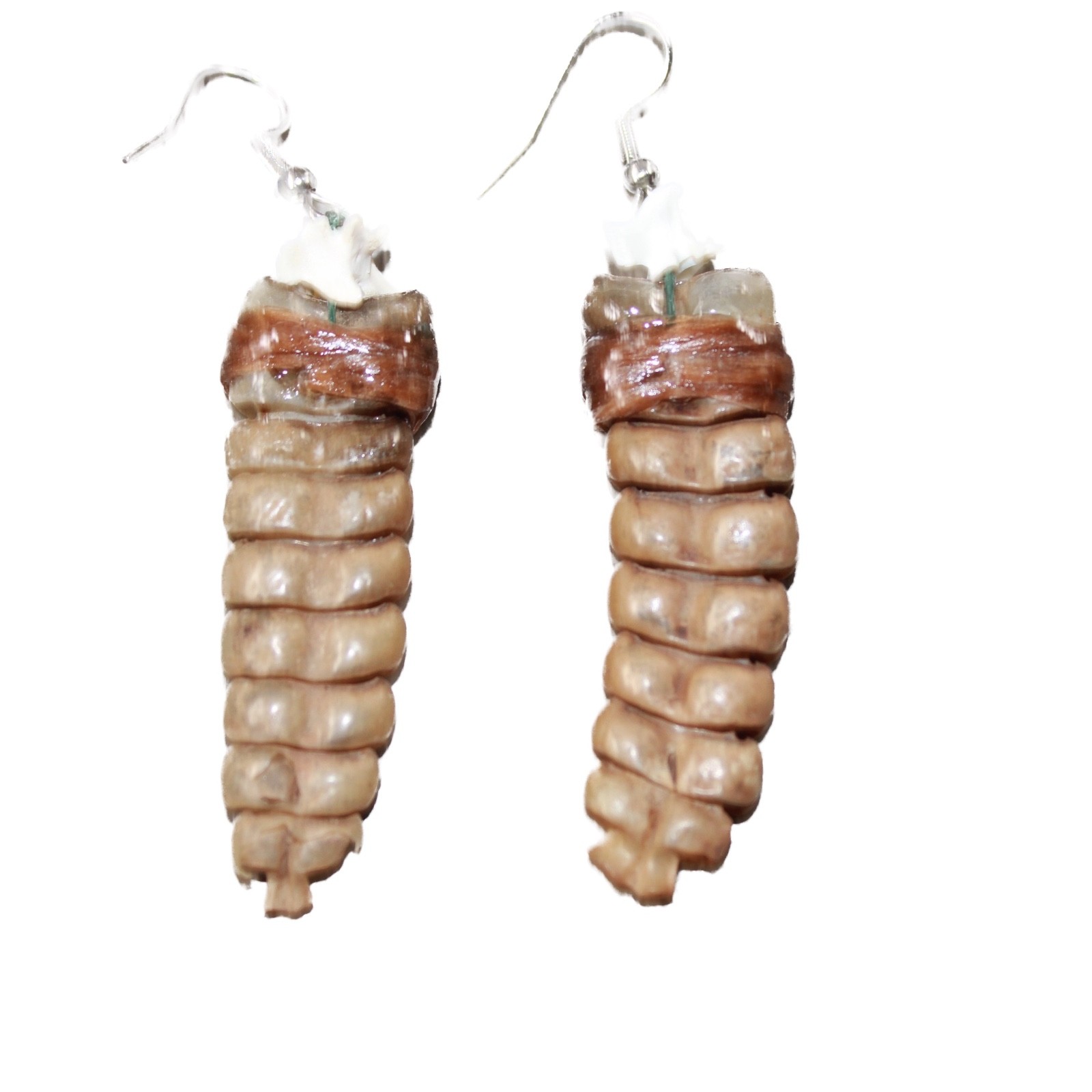 Large Rattlesnake Rattle Earrings #4963 Mountain Man Earrings