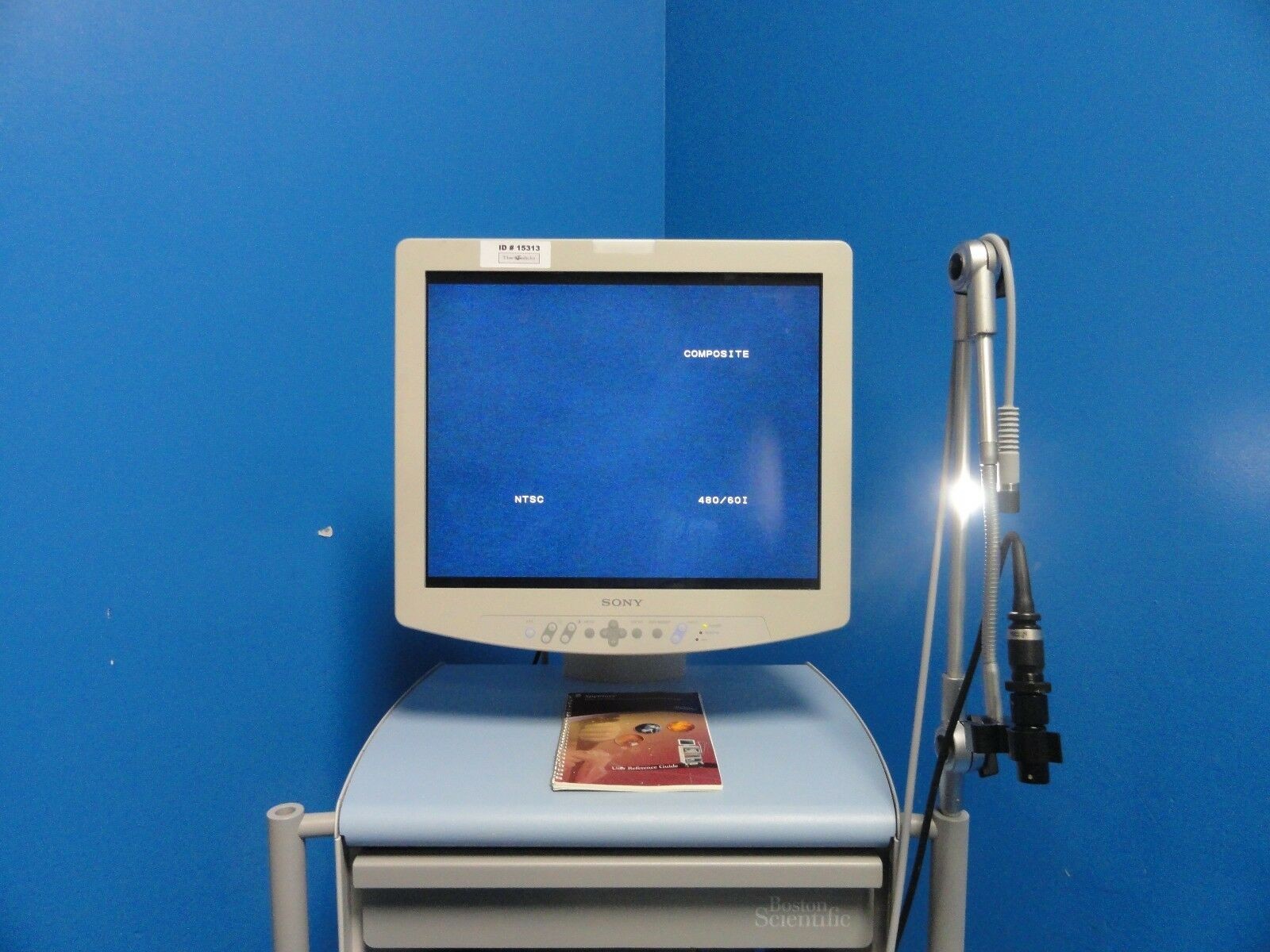 2011 Boston Scientific Spyglass Direct Visualization ~15313