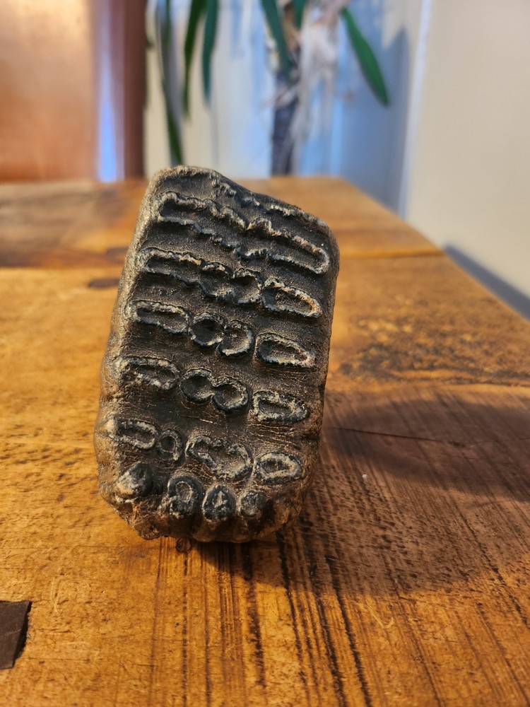 Fossilised  tooth found in Happisbugh