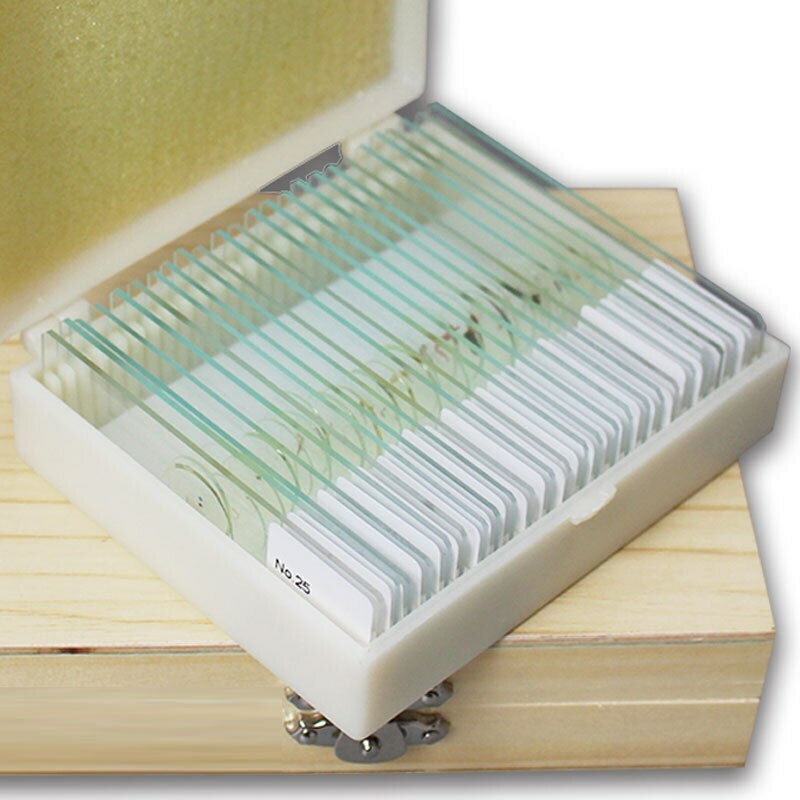 Glass Microscope Prepared Slides Set for Lab Biology Study 25PCS