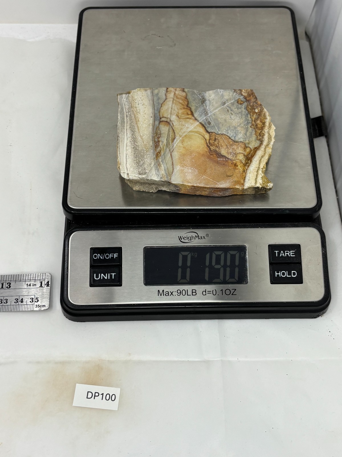 Disaster Peak Picture Jasper end slab Cabbing Lapidary Collecting Combo Ship Avl