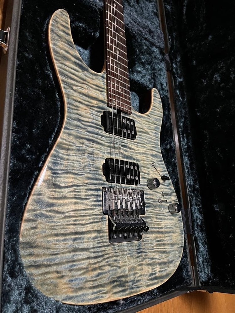 T's Guitars DST-24 Order Electric Guitar