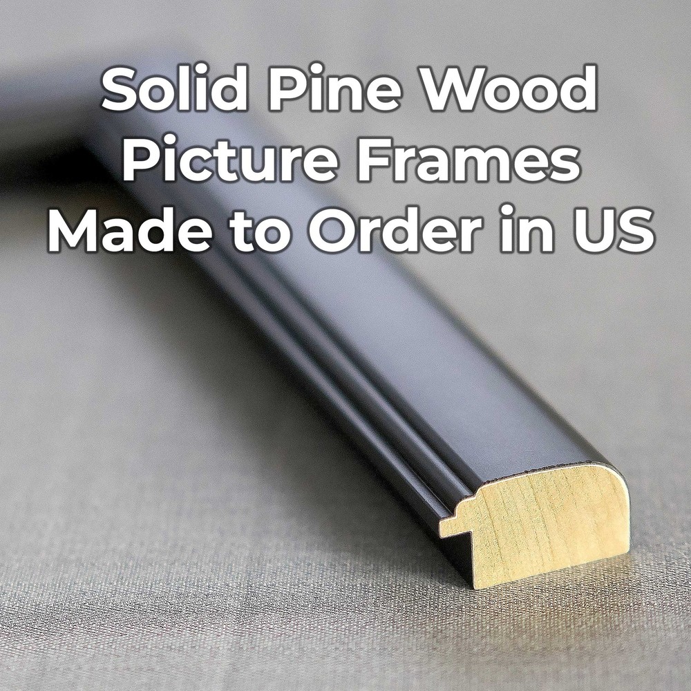 8x18 Frame Black Passaggi Solid Wood Picture Frame Width 1.5 Inches | Interior F