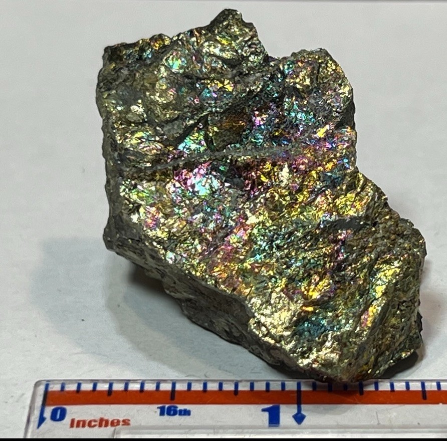 Ultra-Rare Solid Bornite Specimen – Stunning Iridescent Museum Specimen