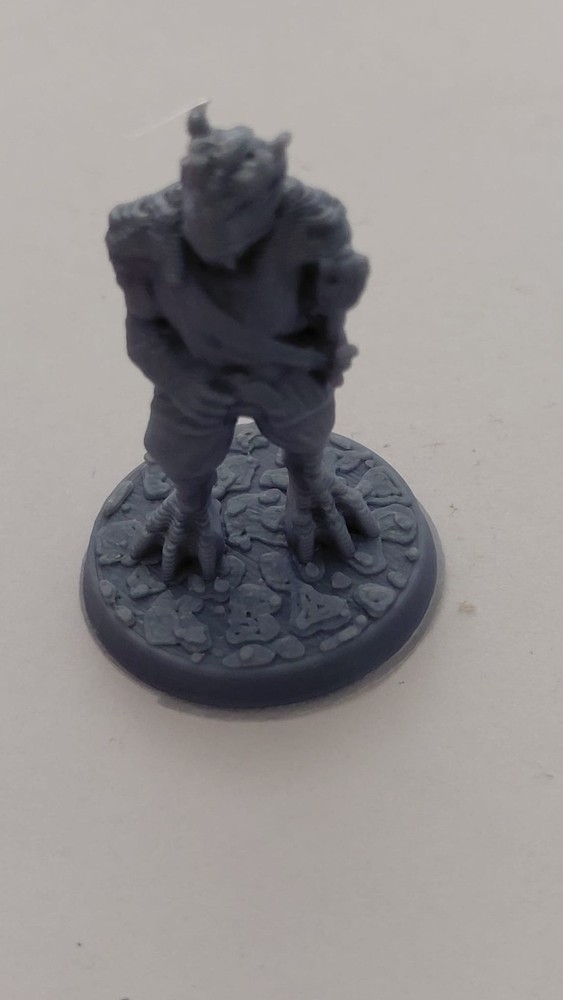 Dragonborn With Sword ( No19) 28mm D&D Miniature