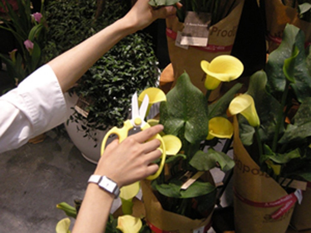 Flower Scissors Hand Creation F-170 (Light Green)