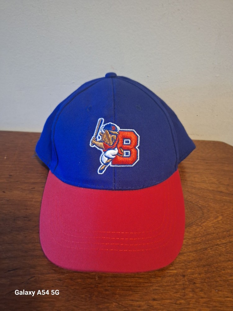 Buffalo Bisons Hat Snapback Buster Bison