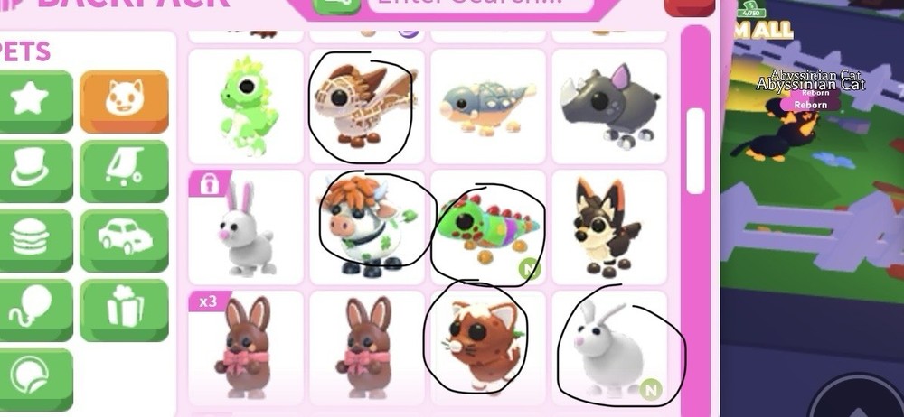 $5 for all items circled!
