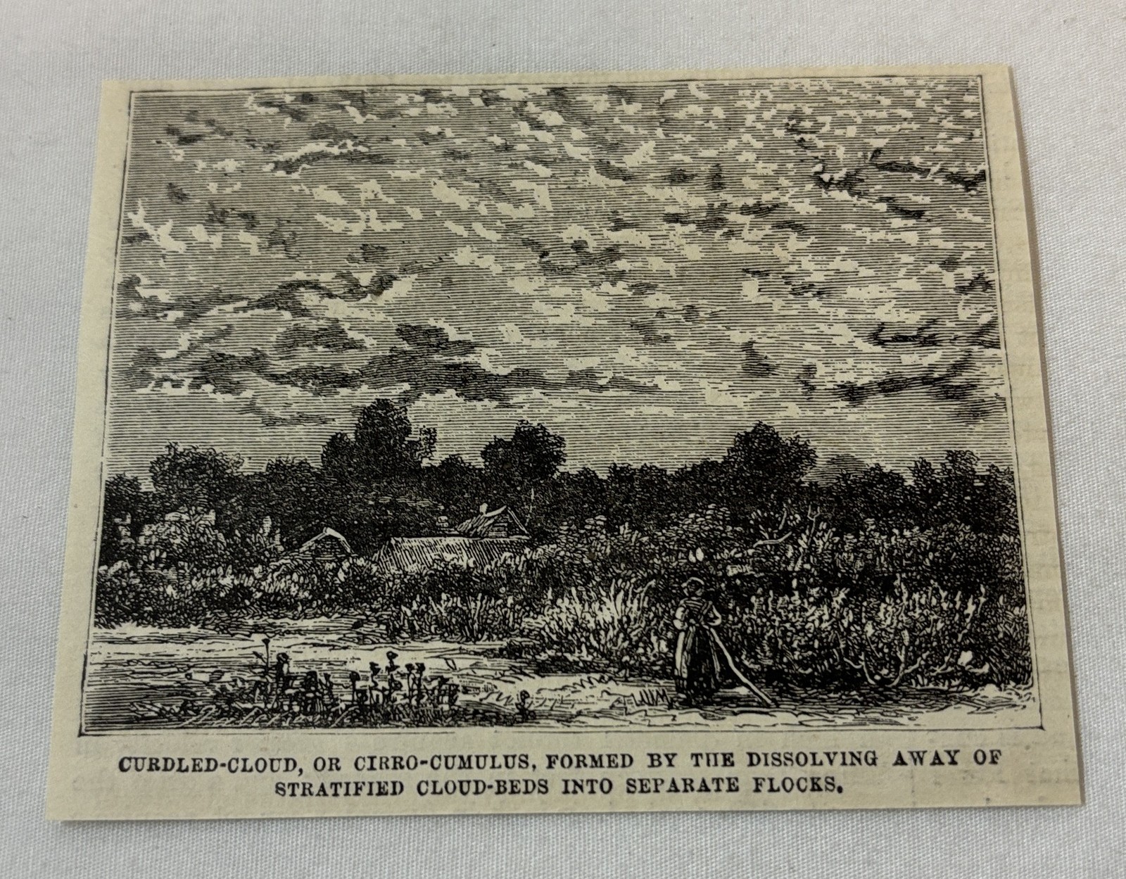1881 magazine engraving~ CURDLED-CLOUD, OR CIRRO-CUMULOUS