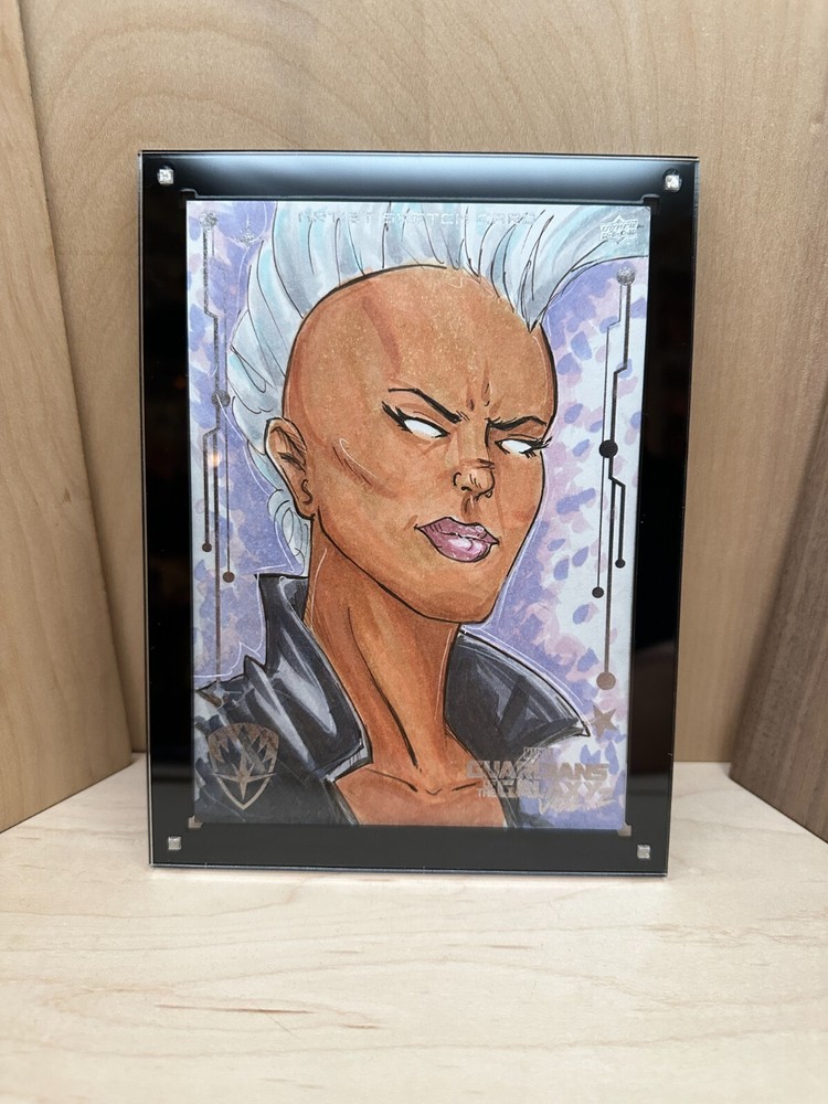 Marvel Magnetic 5"x7" Trading Card Holder Display Case Wall Mountable